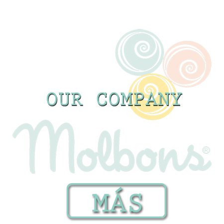 OUR COMPANY