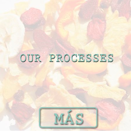 OUR PROCESSES