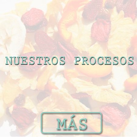 NUESTROS PROCESOS